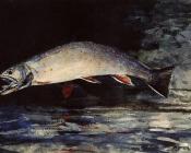 温斯洛 荷默 : A Brook Trout